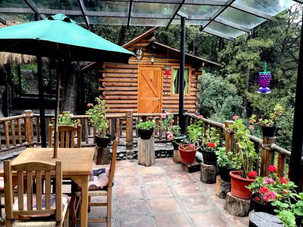 Garden terrace surrounded by forest